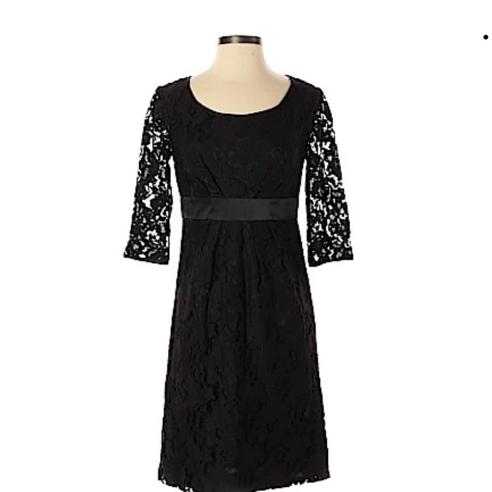 Adrianna Pappell Lace Dress High Waisted Fully Lined in Black Size 4